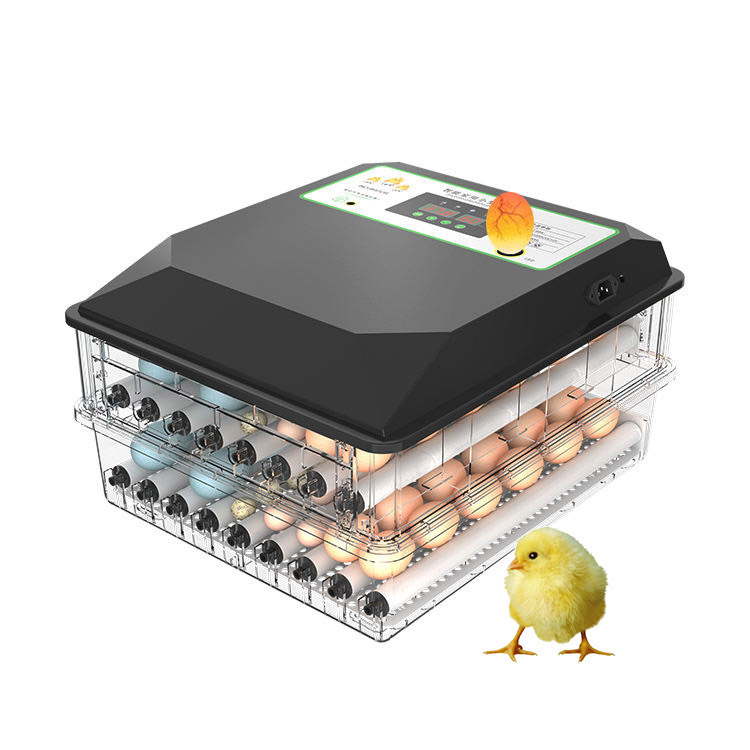 Poultry Incubator - ตู้ฟักไข่อัตโนมัติขนาดเล็ก ใช้กันอย่างแพร่หลาย สำหรับฟักไข่ไก่ ไข่นกพิราบ ใช้พลังงานได้สองระบบ