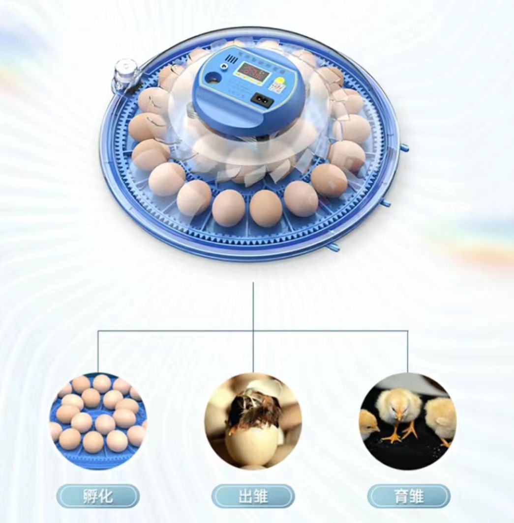 Poultry Incubator - ตู้ฟักไข่ไก่ 20/24/36/56/96/112 ฟอง ตู้ฟักไข่สัตว์ปีกแบบอัตโนมัติเต็มรูปแบบ