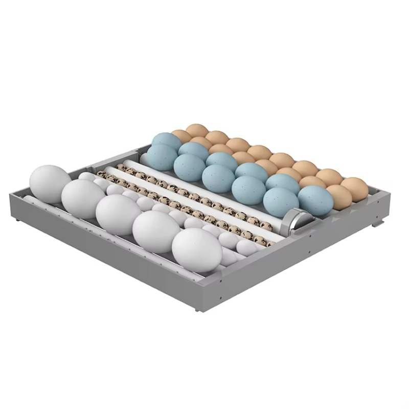 ตู้ฟักไข่อัจฉริยะ 7 ชั้น 448 ฟ - Poultry Incubator บทวิจารณ์และราคา