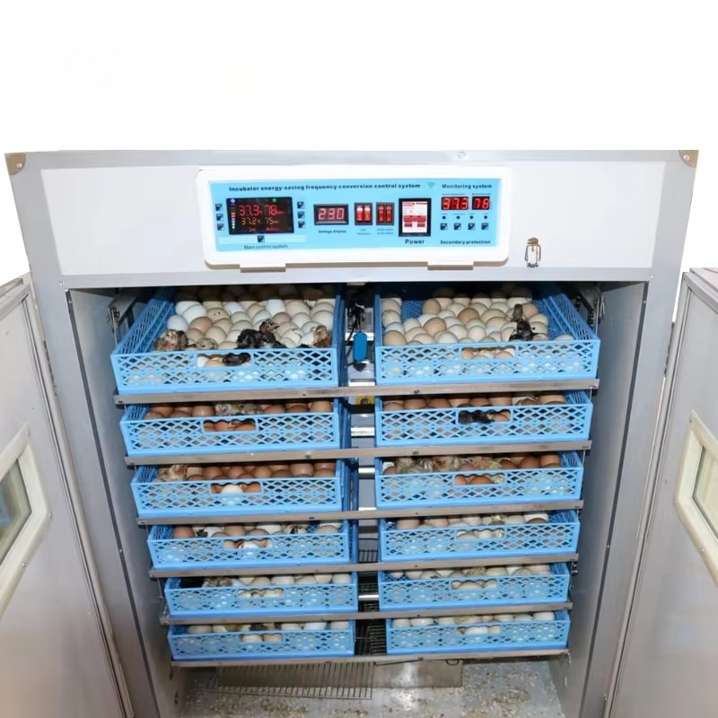 ตู้ฟักไข่อุตสาหกรรม 528 1056 ฟ - Poultry Incubator บทวิจารณ์และราคา