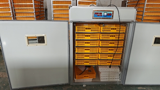 เครื่องฟักไข่ขนาดใหญ่ 1000 ฟอง - Poultry Incubator บทวิจารณ์และราคา