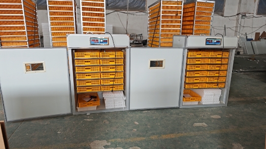 เครื่องฟักไข่ขนาดใหญ่ 1000 ฟอง - Poultry Incubator บทวิจารณ์และราคา