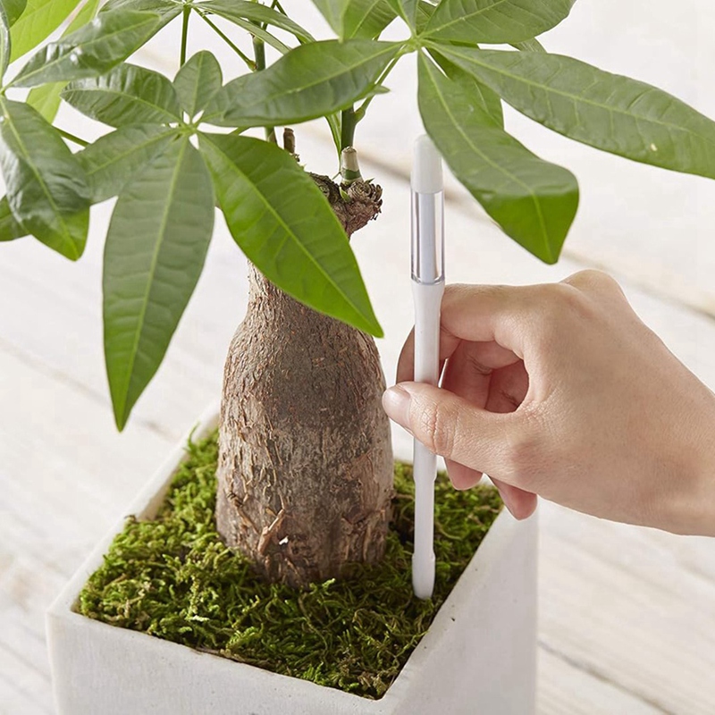 อควาเมเตอร์, 5 ชิ้น, เซ็นเซอร์ - Soil Moisture Sensor บทวิจารณ์และราคา