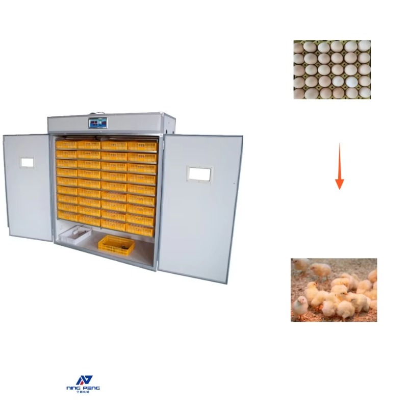 เครื่องฟักไข่สัตว์ปีก เครื่องฟ - Poultry Incubator บทวิจารณ์และราคา