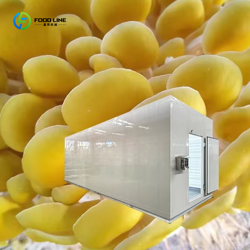 เทคโนโลยีการปลูกเห็ดอัจฉริยะด้ - Smart Farming Technology In Agriculture บทวิจารณ์และราคา