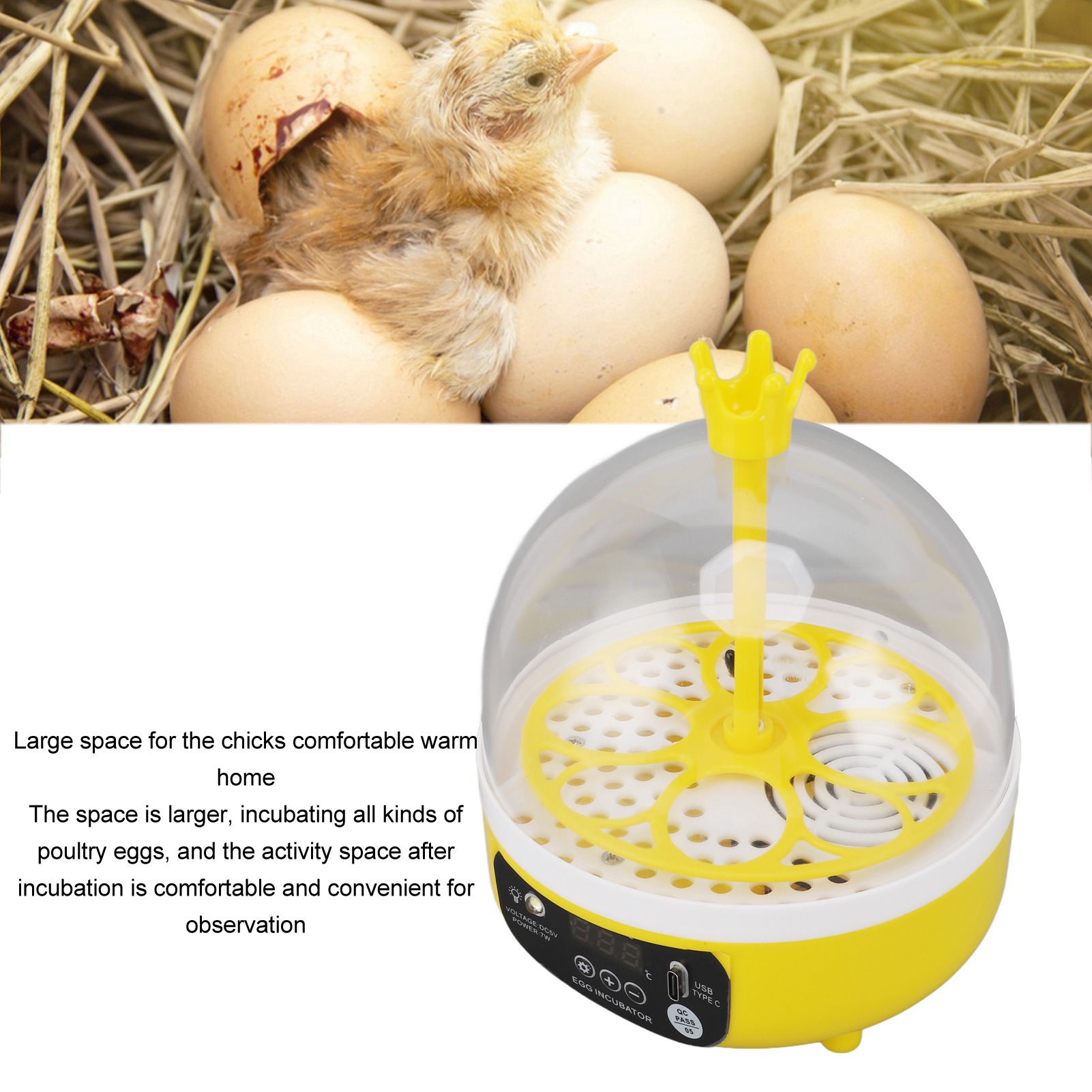 Egg Incubator อุณหภูมิอัตโนมัต - Poultry Incubator บทวิจารณ์และราคา
