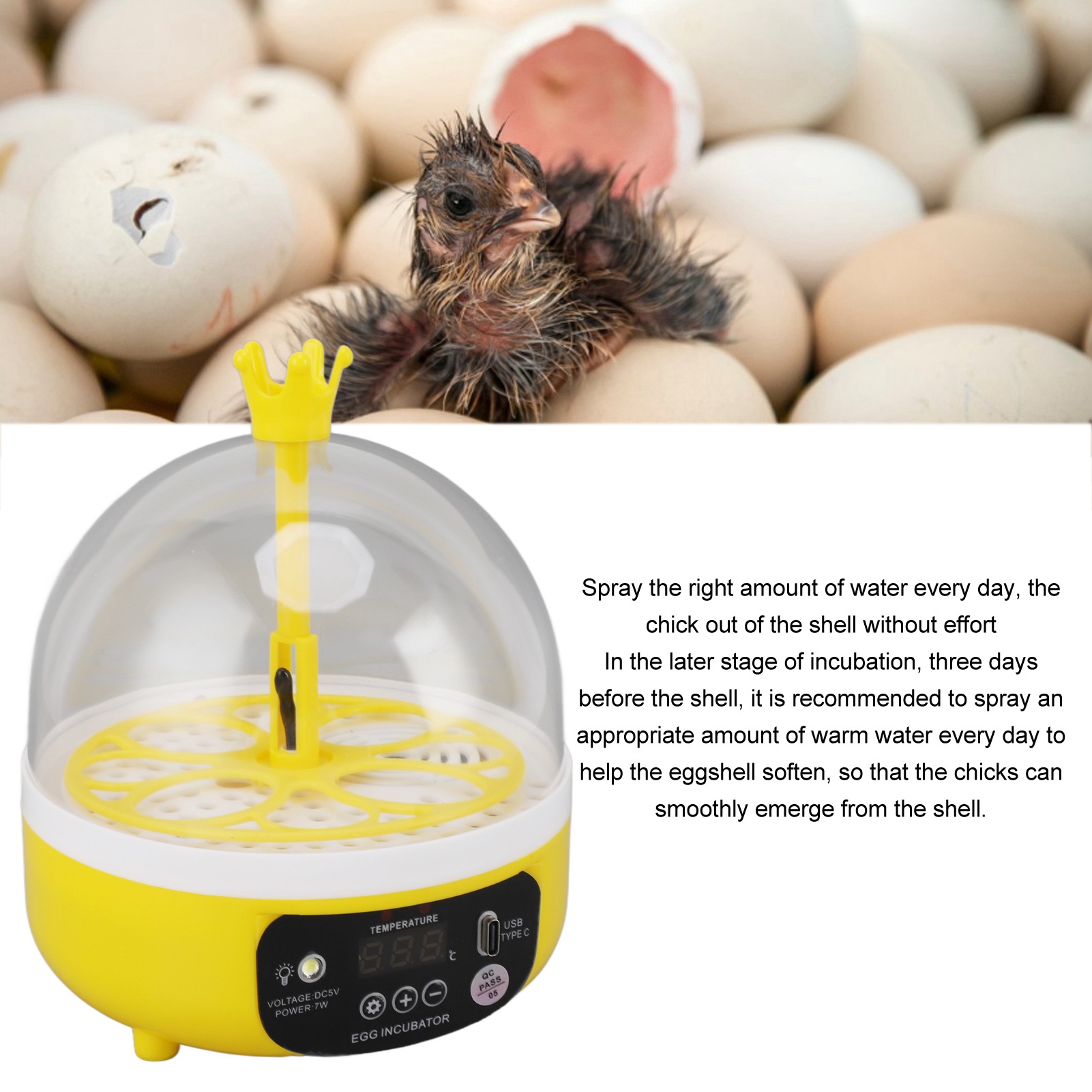 Egg Incubator อุณหภูมิอัตโนมัต - Poultry Incubator บทวิจารณ์และราคา