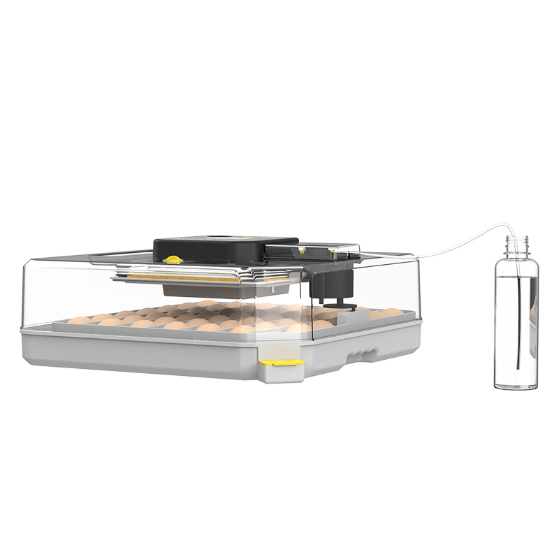 เครื่องฟักไข่นกกระทา อัตราการฟ - Poultry Incubator บทวิจารณ์และราคา