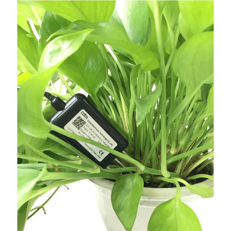 เซ็นเซอร์วัดความชื้นในดิน CDT- - Soil Moisture Sensor บทวิจารณ์และราคา