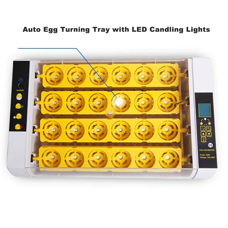 ตู้ฟักไข่อัตโนมัติเต็มรูปแบบ พ - Poultry Incubator บทวิจารณ์และราคา