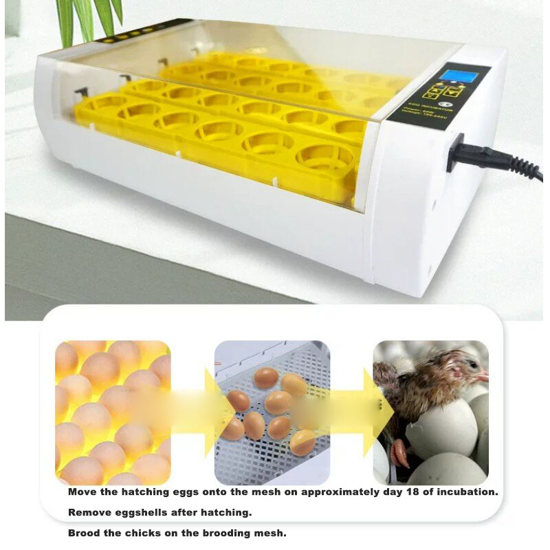 ตู้ฟักไข่อัตโนมัติเต็มรูปแบบ พ - Poultry Incubator บทวิจารณ์และราคา