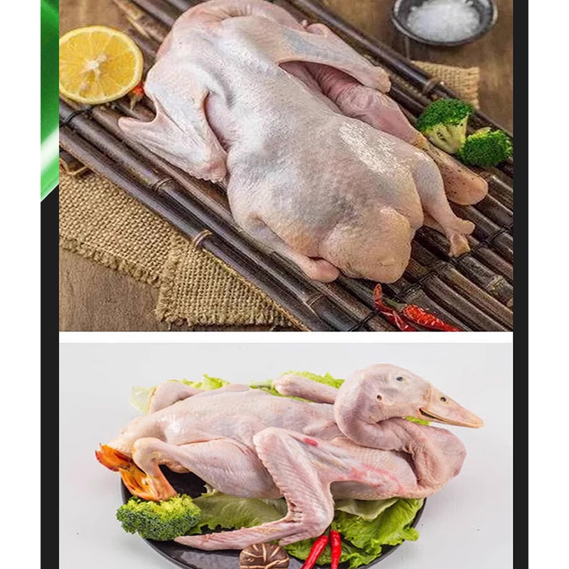 มือถือ Feather Plucker เครื่อง - Chicken Plucker Machine บทวิจารณ์และราคา