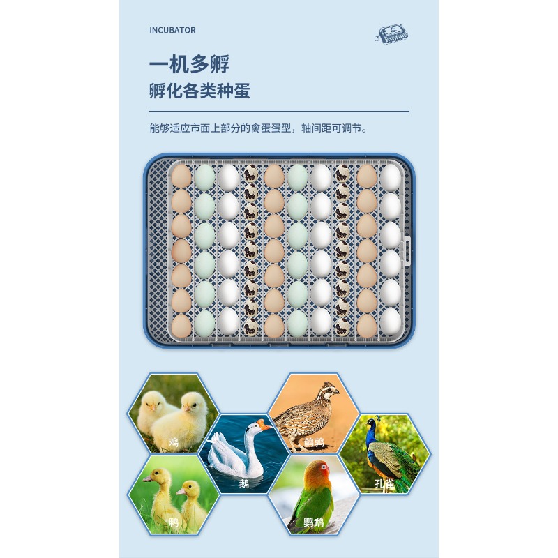 ตู้ฟักไข่อัตโนมัติ ระบบจ่ายไฟค - Poultry Incubator บทวิจารณ์และราคา