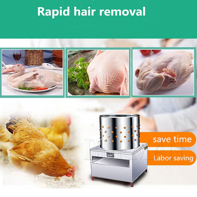 เครื่องถอนขนนกกระทา นกพิราบ นก - Chicken Plucker Machine บทวิจารณ์และราคา