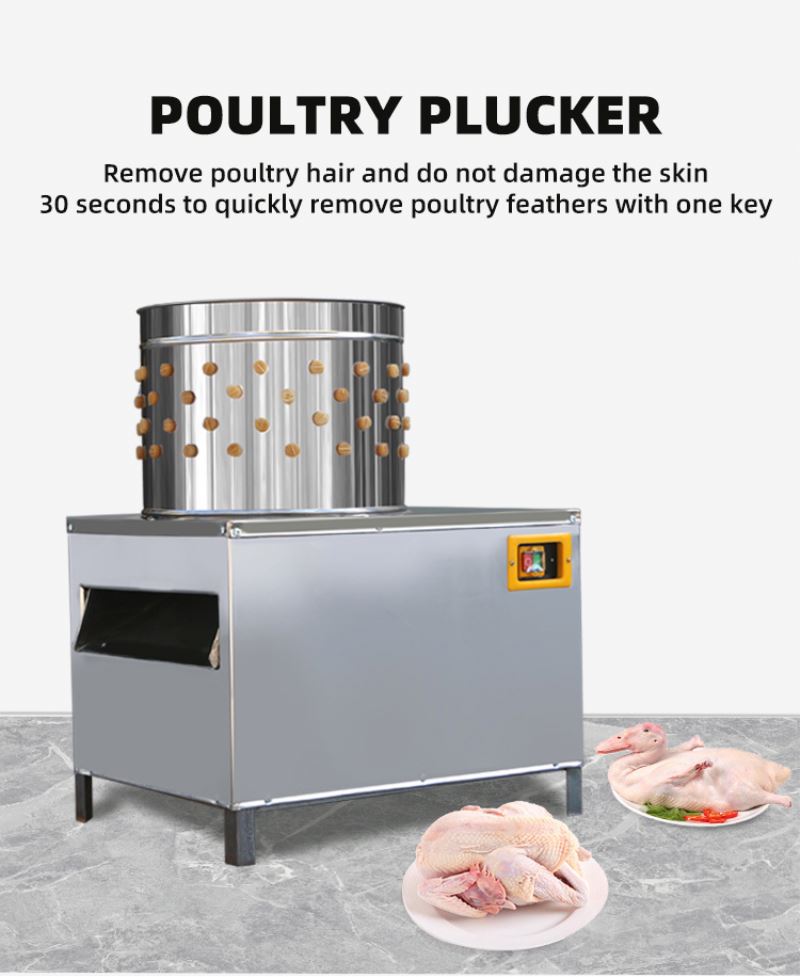 เครื่องเชือดไก่มาตรฐาน ISO พร้ - Chicken Plucker Machine บทวิจารณ์และราคา