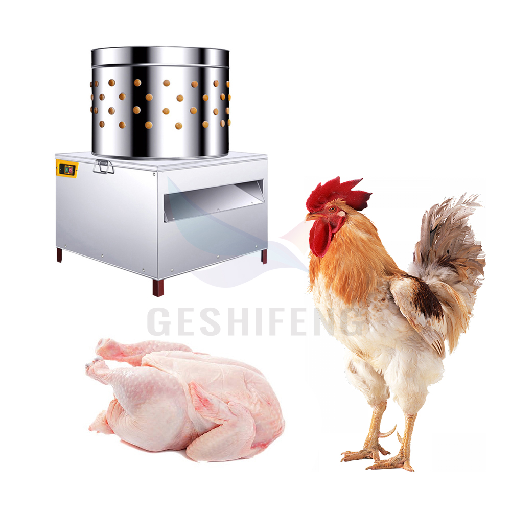 เครื่องถอนขนไก่แบบอัตโนมัติ ปร - Chicken Plucker Machine บทวิจารณ์และราคา