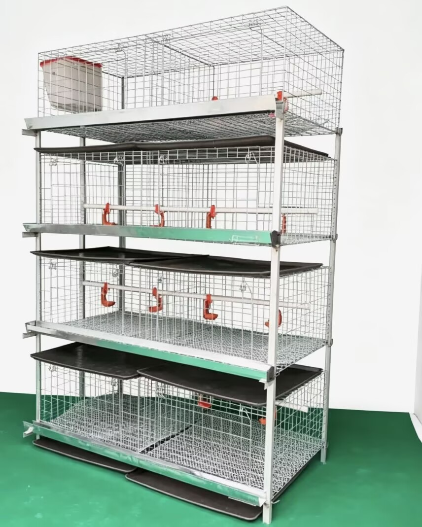 ระบบกรงไก่เนื้อแบบ H ใหม่ สำหร - Farming System & Sustainable Agriculture บทวิจารณ์และราคา