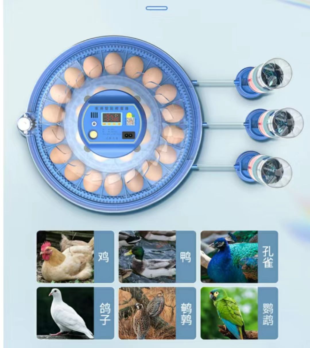 ตู้ฟักไข่ไก่ 20/24/36/56/96/11 - Poultry Incubator บทวิจารณ์และราคา